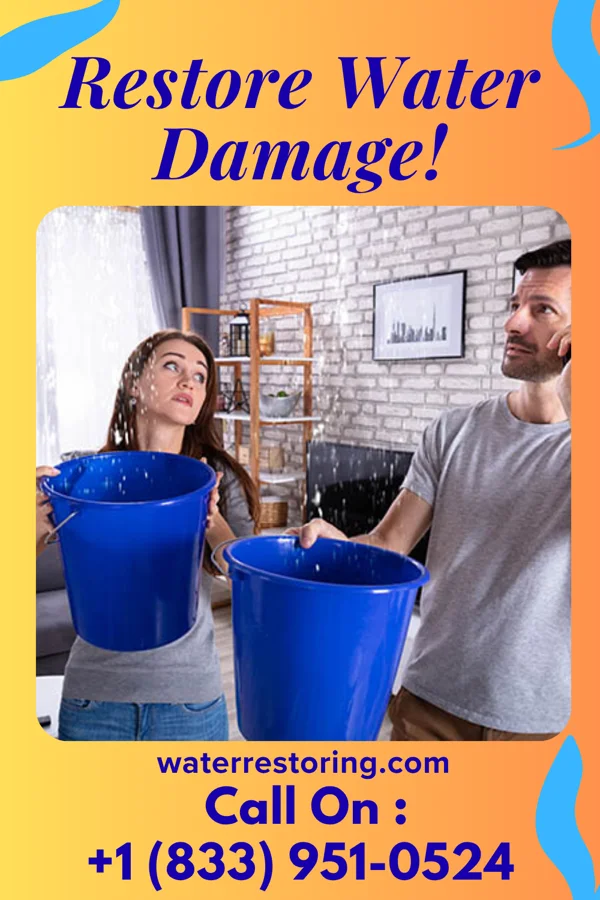 water restoration Local Disaster Recovery Pros De Soto