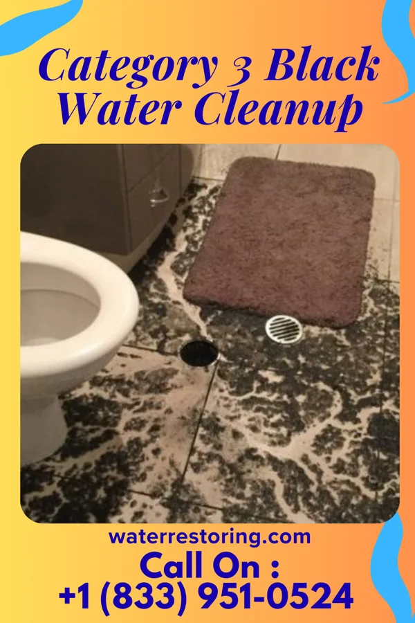 Category 3 Black Water Cleanup in De Soto, MS