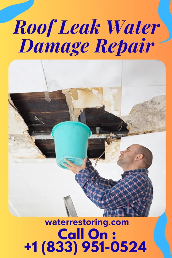 Roof Leak Water Damage Repair in De Soto, MS