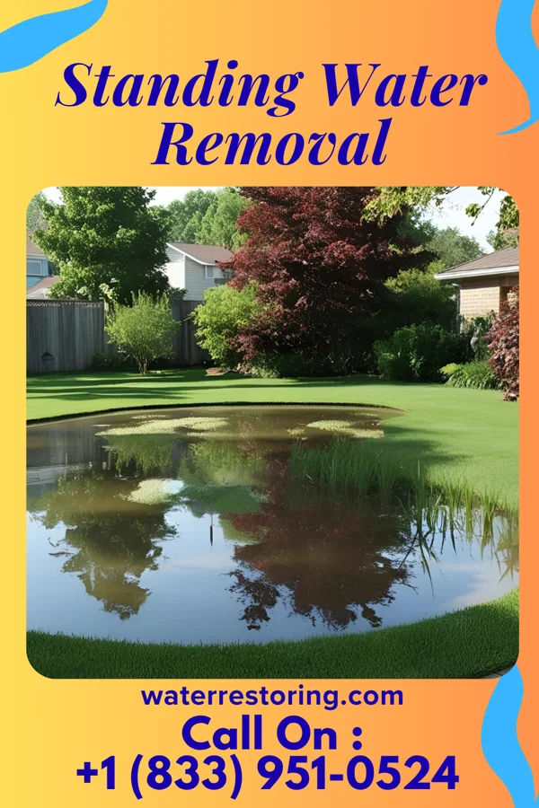 Standing Water Removal in De Soto, MS
